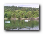 Armadale