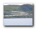 Mallig