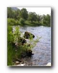 Loch Eck