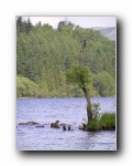 Loch Eck