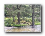 Loch Eck